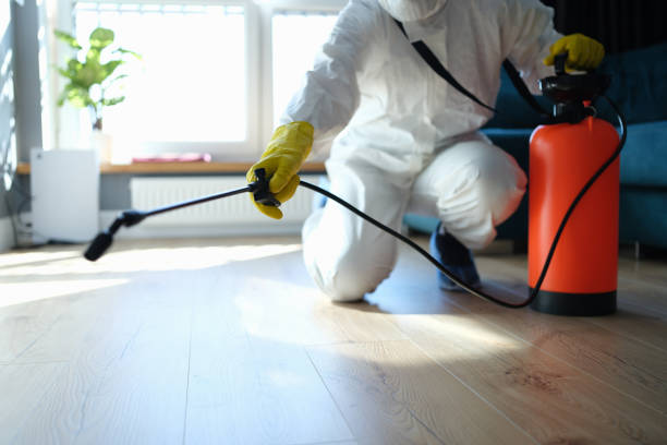 Reliable Blood Cleanup contractor in Nicolaus, CA by Trauma Clean Pros